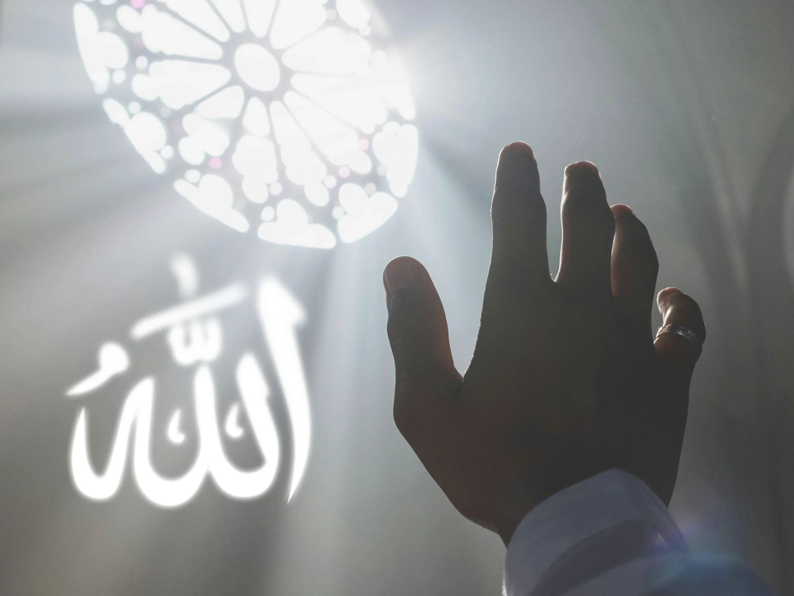 Blog_Banner3_8b1fcc96-33b1-4171-9c0d-cd37d881d499_4608x